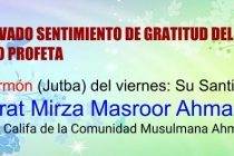 El Elevado Sentimiento De Gratitud Del Santo Profeta